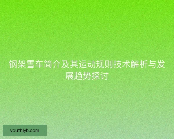 钢架雪车简介及其运动规则技术解析与发展趋势探讨