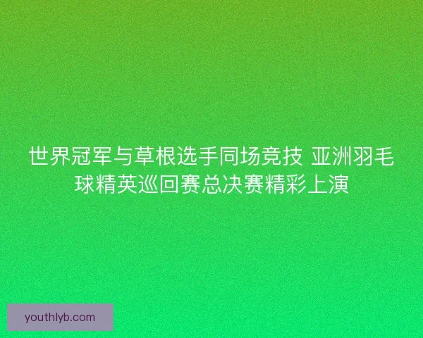 世界冠军与草根选手同场竞技 亚洲羽毛球精英巡回赛总决赛精彩上演